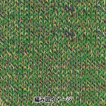 春夏纱线 “ Dora Marl 5th颜色” Richmore Rich More