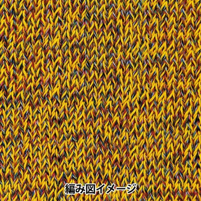 春夏纱线 “ Dora Marl 6颜色” Richmore Rich More