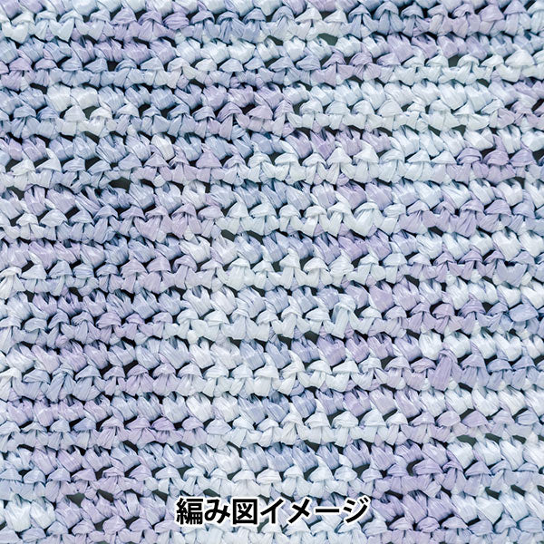 工艺纱线 “ Ecoandariya混合颜色263颜色” Hamanaka