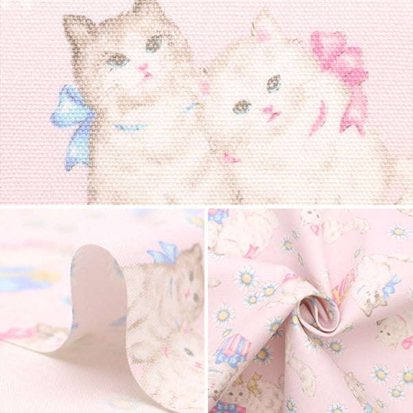 [From quantity 5] Fabric 『Oxford Classical Modern Present Cat Pink CMOF-68-P]