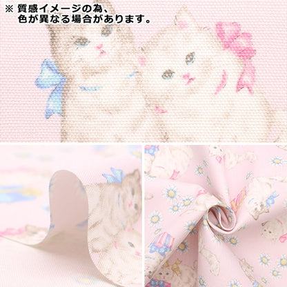 [From quantity 5] Fabric 『Oxford Classical Modern Present Cat Blue CMOF-68-BL]