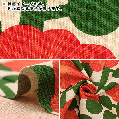 [来自数量5] 织物 “棉花帆布设计花黑色KTS6786-E” COTTON KOBAYASHI