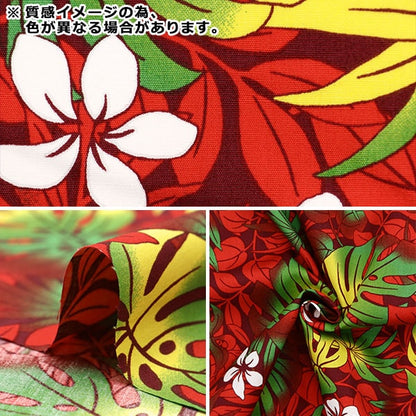 [來自數量5] 織物 “ Broad Hawaii Amplint Monstera Purple 204-B”