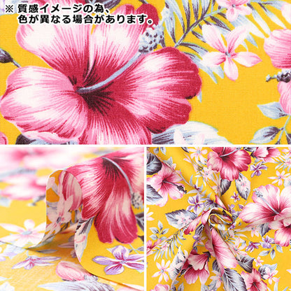 [來自數量5] 織物 “寬闊的夏威夷Amplint芙蓉紅色206-C”