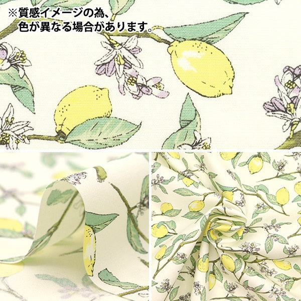 [From quantity 5] Fabric "Lemon gray with broad branches KTS6951-C" COTTON KOBAYASHI