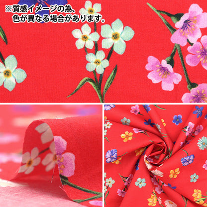 [From quantity 5] Fabric "Liberty Fabric Tana lawn Florapremaevera 3633226-23ct] Liberty Japan