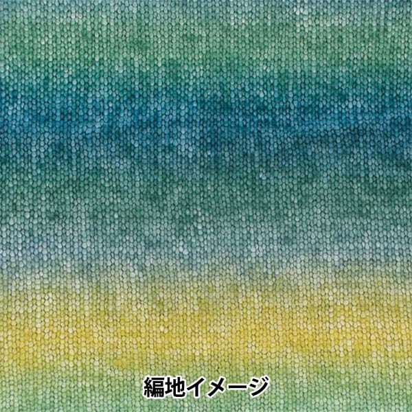 秋冬纱线 “优秀的Mohe帐户10年级141颜色” Richmore Rich More