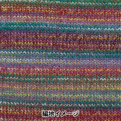 秋冬纱线 “ Dina 25颜色” Hamanaka
