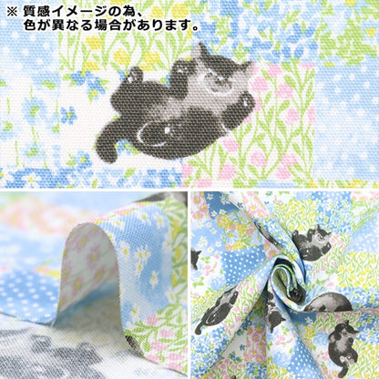 [From quantity 5] Fabric 『Oxford Cat check beige NOX-CACH-BE] KOKKA