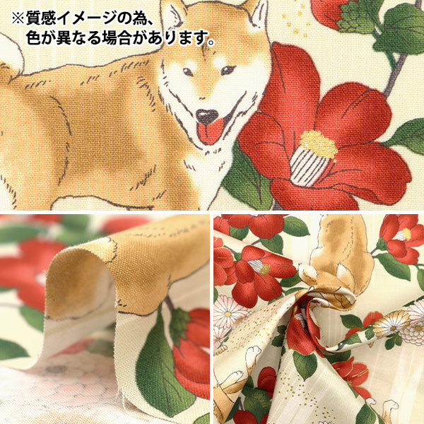[From quantity 5] Fabric 『Sheeting Hyakusa Ryoran Flower 12F Dog Ban Color HR3430-12F]
