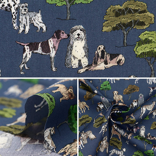 [From quantity 5] Fabric "Liberty Fabric Tana lawn Hyde Park Houng 363J7301-B] Liberty Japan