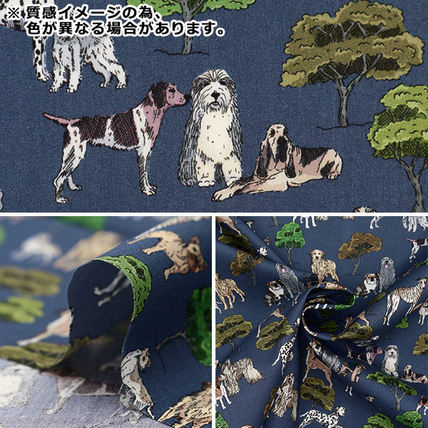 [From quantity 5] Fabric "Liberty Fabric Tana lawn Hyde Park Houng 363J7301-D] Liberty Japan