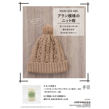 编织套件“艾伦图案针织帽棕色H145-233-103” Hamanaka