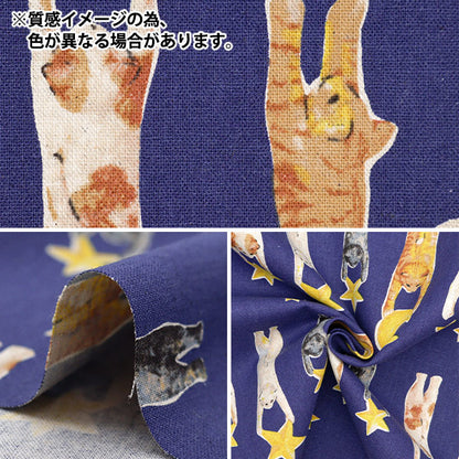 [From quantity 5] Fabric "Cotton hemp canvas Nonotex style EGXA-8800-2C" KOKKA