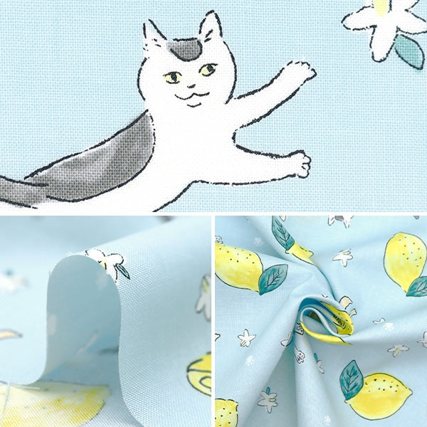 [From quantity 5] Fabric 『Sheeting Cat Lemon Blue DEYT-CALE-BL]
