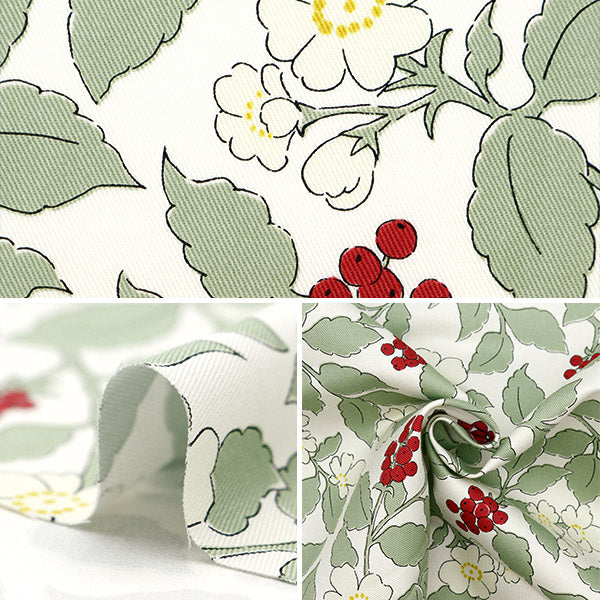 [From quantity 5] Fabric "Twill Fresh Garden Fresh Green TWFGR-LGR"