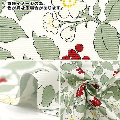 [From quantity 5] Fabric "Twill Fresh Garden Light Blue TWFGR-LBL"