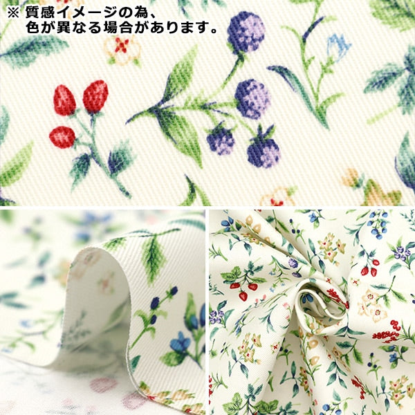 [From quantity 5] Fabric "Twill Berry Garden Blue Gray TWBEG-BLGR"