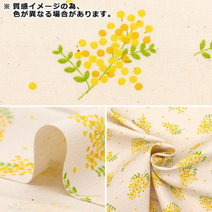 [来自数量5] 织物 『板材织物 含羞草象牙半iV]