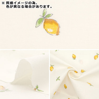 [From quantity 5] Fabric 『Sheeting Lemon Light Gray NO-LEMON-C]