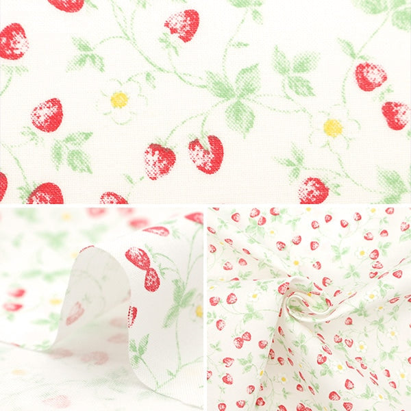 [From quantity 5] Fabric 『Sheeting Ichigo White NO-STRA-A]
