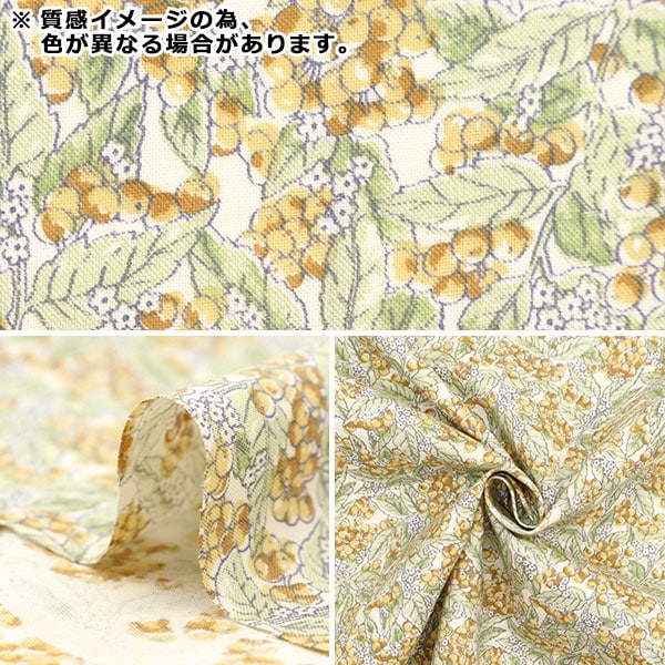 [来自数量5] 织物 『板材织物 天上的竹子粉红色否-HEBA-A]