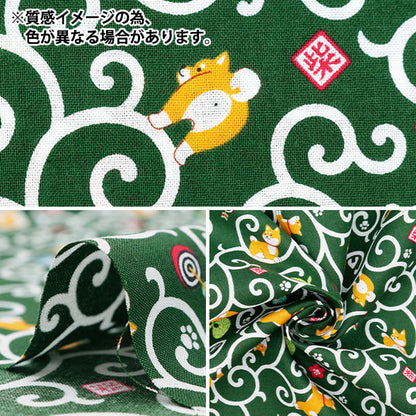 [From quantity 5] Fabric 『Scare Print Engine SQ35404-2B from Shibo