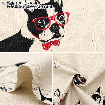 [From quantity 5] Fabric "Cotton hemp canvas French bulldog Navy CLCA35409-E"