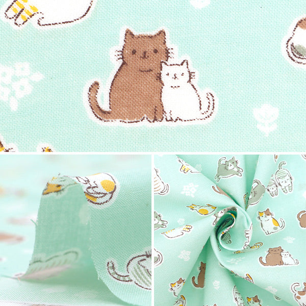 [From quantity 5] Fabric 『Scare Print Cat Blue AP4680-1D]
