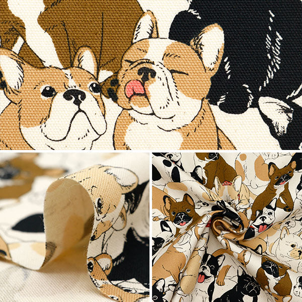 [來自數量5] 織物 『牛津布 法國鬥牛犬天然OX35406-1A]