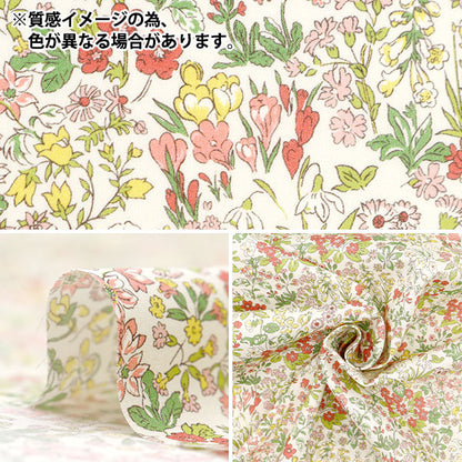[来自数量5] 织物 “自由织物有机塔纳草坪 春天157J904-B] Liberty Japan