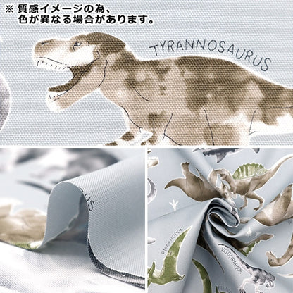 [From quantity 5] Fabric 『Oxford Colorful Canvas Dinosaur Water Color Picture Blue Gray COCAN-DIN-BLG] KOKKA