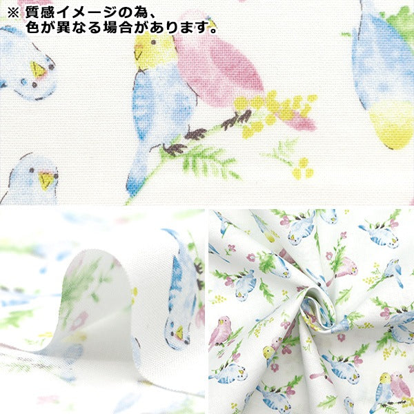[From quantity 5] Fabric 『Sheeting Colorful canvas watercolor parakeet pattern light mint COCAN-BIR-LMI] KOKKA