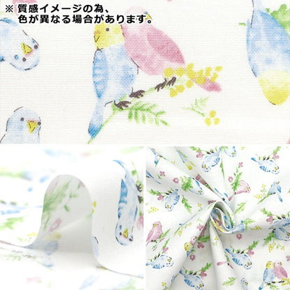 [From quantity 5] Fabric 『Sheeting Colorful canvas watercolor parakeet pattern light mint COCAN-BIR-LMI] KOKKA