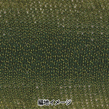 春夏纱线 “ ecaud巴黎第9颜色” Richmore Rich More