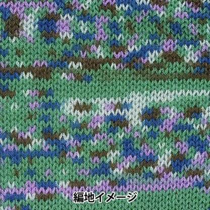 春夏纱线 “ Montparnas 3rd颜色” Richmore Rich More