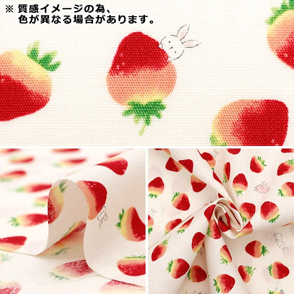 [From quantity 5] Fabric 『Scare Print Print Ichigo Pink SP2400-1B]