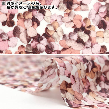 Fabric "Liberty Fabric LaminatedCut Cloth Approximately 33 x 50cm Hillaryan CR363413724CU] Liberty Japan
