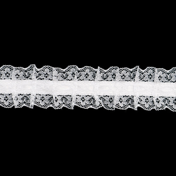 [來自數量5]種族”絲帶Russell Frill 2021寬度約2.5厘米41顏色12432rb-41”