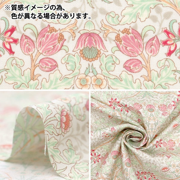 [来自数量5] 织物 “莫达·莫里斯的最佳 板材织物 Hiyashin Pink 33496-67]