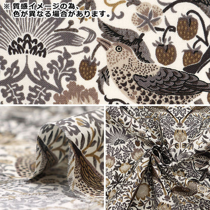[来自数量5] 织物 “莫达·莫里斯的最佳 板材织物 草莓小偷8382-16]