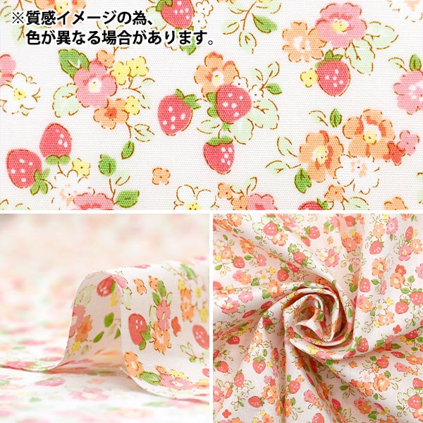 [From quantity 5] Fabric "Broad Findthday Ichigo and Flower Purple AP35407-1E"