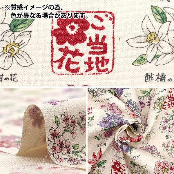[來自數量5] 織物 『牛津布 本地系列花粉紅色YPA-51000-1B] KOKKA