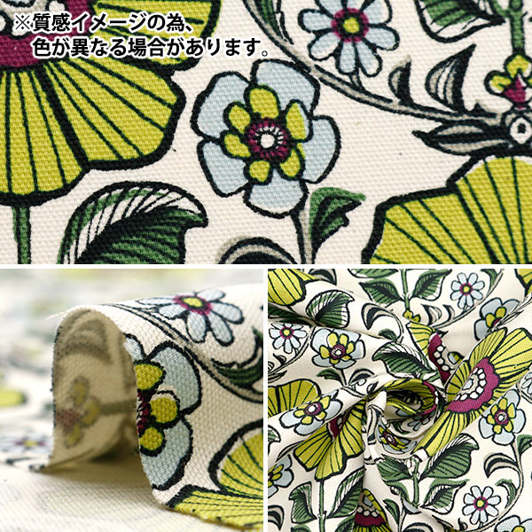 [From quantity 5] Fabric 『Oxford Jumbo Green YGA-71020-1C] KOKKA