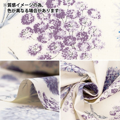 [From quantity 5] Fabric "Broadphennel Mint 850452-1-3"