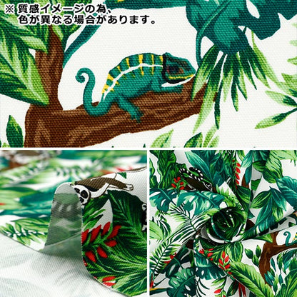 [来自数量5] 织物 『牛津布 热带蓝色AP42813-1C]