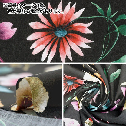 [From quantity 5] Fabric "Liberty Fabric Tana lawn Herbarium 3634224-24BU] Liberty Japan