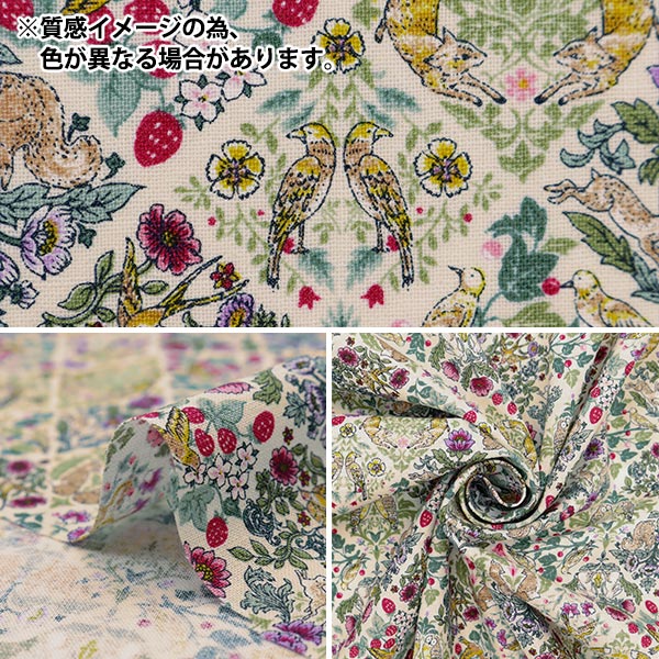 [来自数量5] 织物 『板材织物 艺术Nouvo交响乐大块花图案海军SS-2402-1D]
