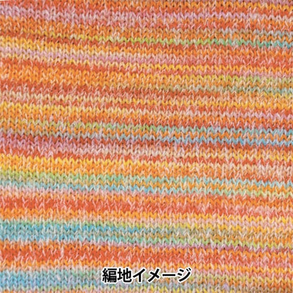 秋冬纱线 “ Dina 29颜色” Hamanaka