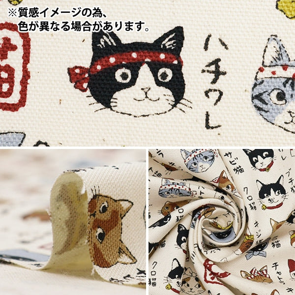 [来自数量5] 织物 『牛津布 图画书系列Nippon Cat Karashi YPA-56030-2C] KOKKA